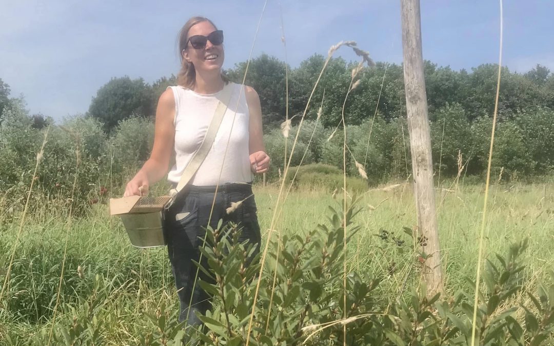 Mijn eerste ontmoeting met voedselbossen