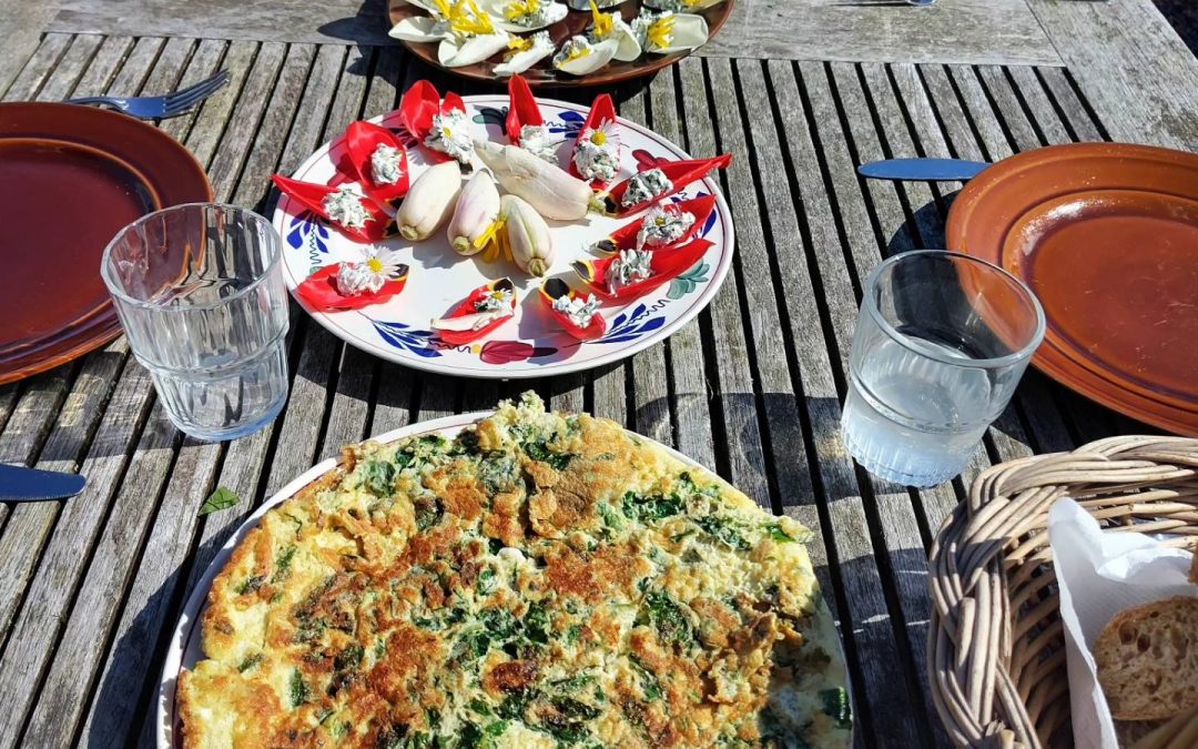 Wat kun je allemaal eten uit een voedselbos?